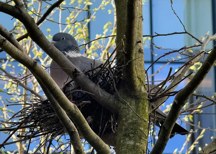 Marcel Cahen 5 Luxurious For Families Groups And Events Semesterbostad *