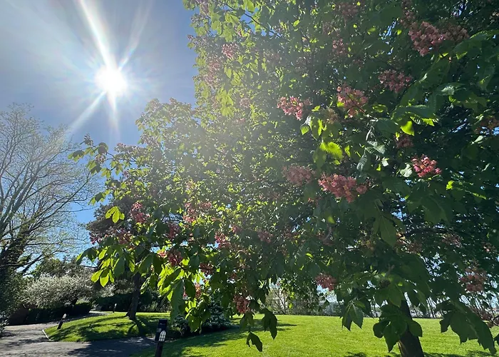 Marcel Cahen 5 Luxurious For Families Groups And Events Semesterbostad